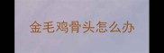 金毛鸡骨头怎么办