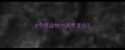 4个月边牧一天吃多少