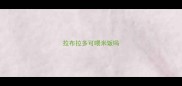 拉布拉多可喂米饭吗