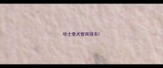哈士奇犬智商排名