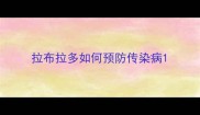 拉布拉多如何预防传染病