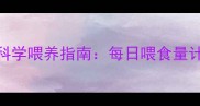 边境牧羊犬5月龄科学喂养指南每日喂食量计算与营养配比全