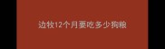 边牧12个月要吃多少狗粮