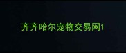 齐齐哈尔宠物交易网