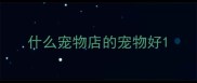 什么宠物店的宠物好