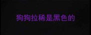 狗狗拉稀是黑色的