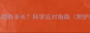边牧换毛期有多长科学应对指南附护理技巧