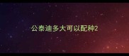 公泰迪多大可以配种