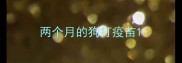 两个月的狗打疫苗