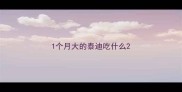1个月大的泰迪吃什么
