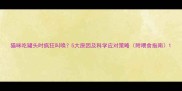 猫咪吃罐头时疯狂叫唤5大原因及科学应对策略附喂食指南