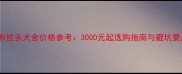 拉布拉多犬舍价格参考3000元起选购指南与避坑要点