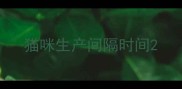 猫咪生产间隔时间