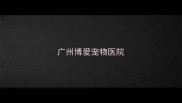 广州博爱宠物医院