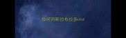 如何判断拉布拉多chd