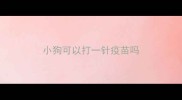 小狗可以打一针疫苗吗