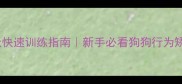 幼犬期30天快速训练指南新手必看狗狗行为矫正全攻略