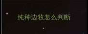 纯种边牧怎么判断