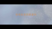 拉布拉多回来老叫