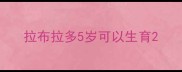 拉布拉多5岁可以生育