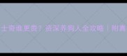 阿拉斯加和哈士奇谁更贵资深养狗人全攻略附真实饲养成本清单