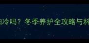 拉布拉多犬怕冷吗冬季养护全攻略与科学应对方法
