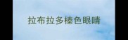 拉布拉多榛色眼睛