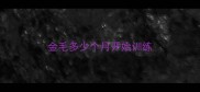 金毛多少个月开始训练
