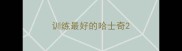 训练最好的哈士奇