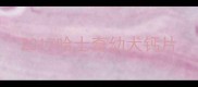 2017哈士奇幼犬钙片
