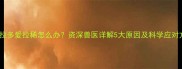 拉布拉多爱拉稀怎么办资深兽医详解5大原因及科学应对方案
