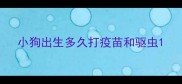小狗出生多久打疫苗和驱虫