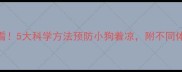 冬季养狗必看5大科学方法预防小狗着凉附不同体型护理指南