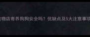 宠物店寄养狗狗安全吗优缺点及5大注意事项