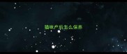 猫咪产后怎么保养