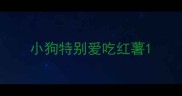 小狗特别爱吃红薯