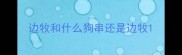 边牧和什么狗串还是边牧