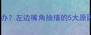 猫咪嘴角抽搐怎么办左边嘴角抽搐的5大原因及家庭护理指南