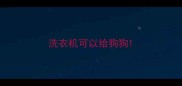洗衣机可以给狗狗