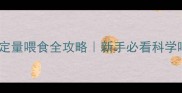 猫咪定时定量喂食全攻略新手必看科学喂养指南