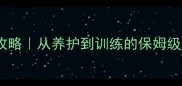 棕眼睛棕毛哈士奇全攻略从养护到训练的保姆级指南附拍照技巧