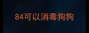 84可以消毒狗狗