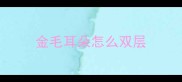 金毛耳朵怎么双层