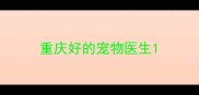 重庆好的宠物医生