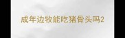 成年边牧能吃猪骨头吗