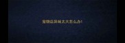 宠物店异味太大怎么办