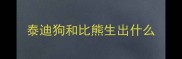 泰迪狗和比熊生出什么