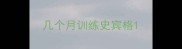几个月训练史宾格