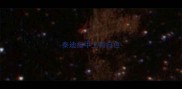 泰迪指甲上有白色
