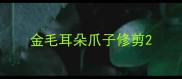 金毛耳朵爪子修剪